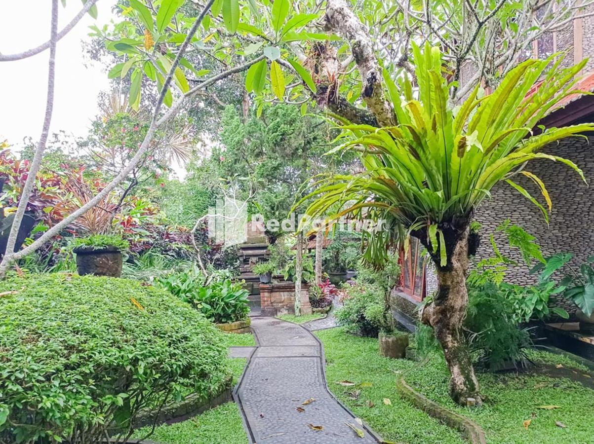 Nando House Apartment Ubud  Ngoại thất bức ảnh